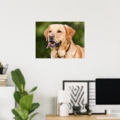 Gelbes Labrador Retriever Hund - Labrador Poster (Heimbüro)