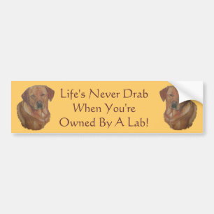 gelbes Labrador Retriever Hundportrait Art Slogan Autoaufkleber