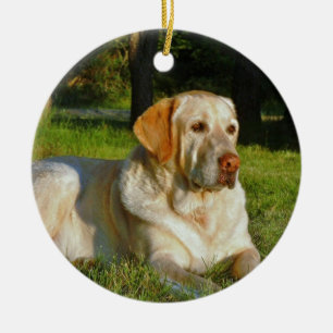 Gelbes Labrador retriever Keramik Ornament