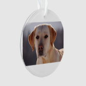 gelbes labrador retriever ornament (Vorderseite)
