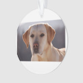 gelbes labrador retriever ornament (Vorderseite)