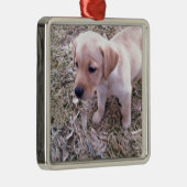 Gelbes Labrador retriever Ornament Aus Metall (Rechts)