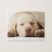 Gelbes Labrador retriever Puzzle (Horizontal)