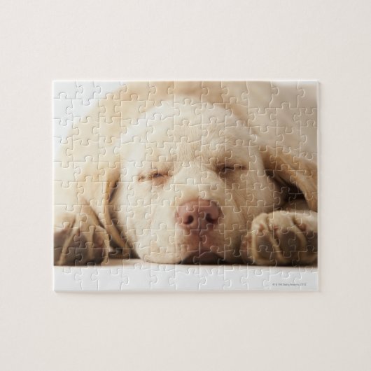 Gelbes Labrador retriever Puzzle (Horizontal)