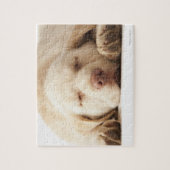 Gelbes Labrador retriever Puzzle (Vertikal)