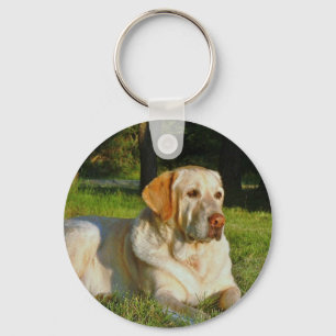 Gelbes Labrador retriever Schlüsselanhänger