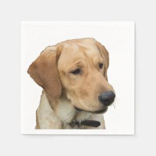 Gelbes Labrador retriever Serviette
