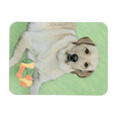Gelbes Labrador Retriever & Tennis Balls Malerei Magnet (Horizontal)