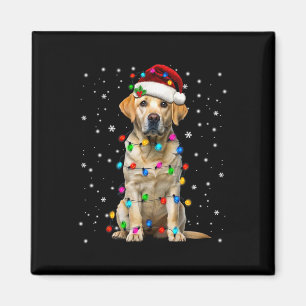 Gelbes Labrador Retriever Weihnachtsbaum Licht Pyj Magnet