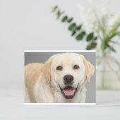 Gelbes Labrador Retriever Welpe Hunde Leere Postka Postkarte (Stehend Vorderseite)