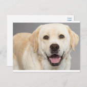 Gelbes Labrador Retriever Welpe Hunde Leere Postka Postkarte (Vorne/Hinten)