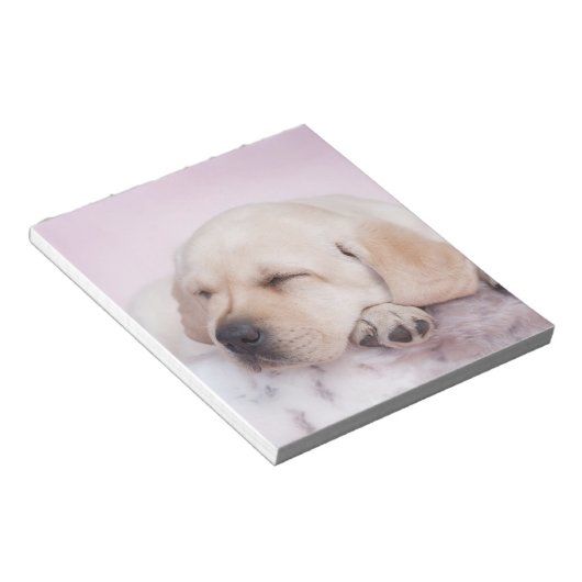 Gelbes Labrador Retriever Welpe Notizblock (angewinkelt)