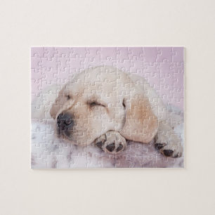 Gelbes Labrador Retriever Welpe Puzzle