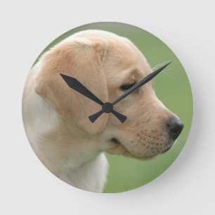 Gelbes Labrador Retriever Welpe Runde Wanduhr