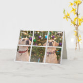 Gelbes Labrador Retrievers im Weihnachtsfenster Karte (Gelbe Blume)