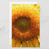 Gelbes Mammut-Sonnenblumen-Foto Briefpapier (Vorne/Hinten)
