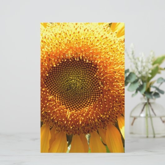 Gelbes Mammut-Sonnenblumen-Foto Briefpapier (Stehend Vorderseite)