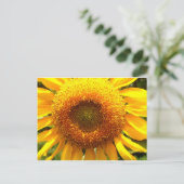 Gelbes Mammut-Sonnenblumen-Foto Postkarte (Stehend Vorderseite)