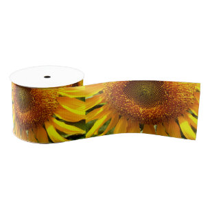 Gelbes Mammut-Sonnenblumen-Foto Ripsband