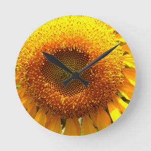 Gelbes Mammut-Sonnenblumen-Foto Runde Wanduhr