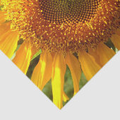 Gelbes Mammut-Sonnenblumen-Foto Seidenpapier (Ausschnitt)