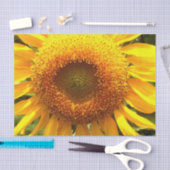 Gelbes Mammut-Sonnenblumen-Foto Seidenpapier (Handwerk)