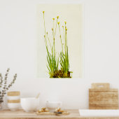 Gelbes Mit Augen Gras Poster (Küche)