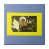 Gelbes Monarch Gerahmte Keramik Tile Fliese (Vorderseite)