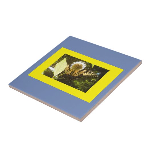 Gelbes Monarch Gerahmte Keramik Tile Fliese (Seite)