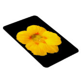 Gelbes Nasturtium-Premium-Magnet Magnet (Rechte Seite)