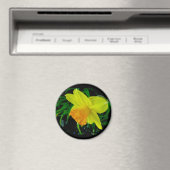 Gelbes Orangen-Daffodiemagnet Magnet (In Situ (Geschirrspüler))