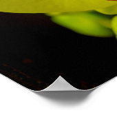 Gelbes Orchid - Poster (Ecke)