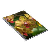 Gelbes Orchideennotizbuch Notizblock (Rechte Seite)