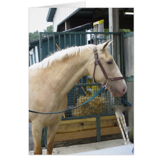 Gelbes Pferd (Vorne)