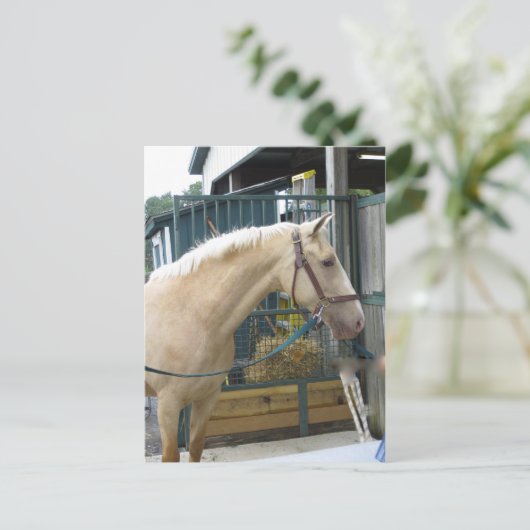Gelbes Pferd Postkarte (Stehend Vorderseite)