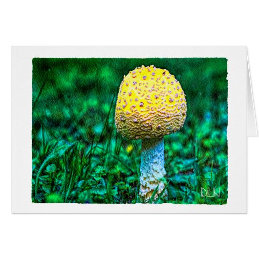 Gelbes Pilz/Natur/Aquarellbild (Vorderseite (Horizontal))