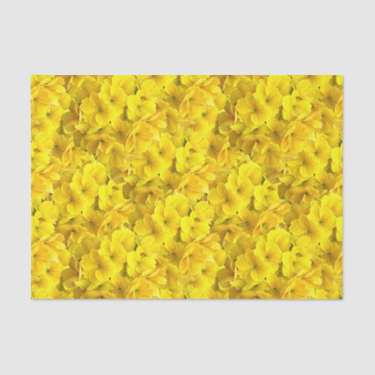 Gelbes Primrose-Blume-Muster Seidenpapier (Vorderseite)