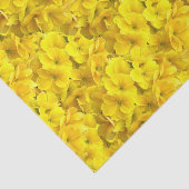 Gelbes Primrose-Blume-Muster Seidenpapier (Ausschnitt)