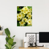 Gelbes Primula/Primrose Blume Print/Poster Poster (Heimbüro)