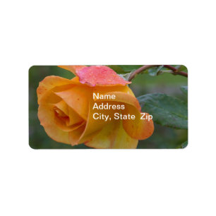 Gelbes Rose3 Adressaufkleber