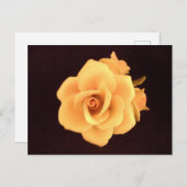 Gelbes Rose 2004 Foto Postkarte (Vorne/Hinten)