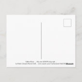 Gelbes Rose 2004 Foto Postkarte (Rückseite)