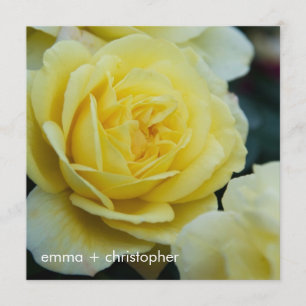 Gelbes Rose DSC3677 Save The Date