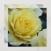 Gelbes Rose DSC3677 Save The Date (Vorne/Hinten)