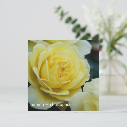 Gelbes Rose DSC3677 Save The Date (Stehend Vorderseite)