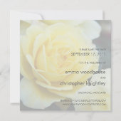Gelbes Rose DSC3677 Save The Date (Rückseite)