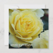 Gelbes Rose DSC3677 Save The Date (Vorderseite)