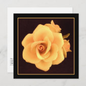 Gelbes Rose, Foto 2004. (Vorne/Hinten)