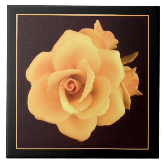 Gelbes Rose, Foto 2004. Fliese (Vorderseite)