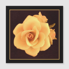 Gelbes Rose, Foto 2004. Magnetkarte